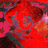 videotechx's profile image