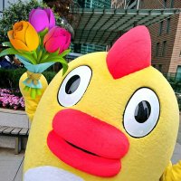 💛そら部の部長❤️ (@sora26kumo26po2) 's Twitter Profile Photo