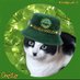 Chester_T_Kitty (@chester_r_kitty) Twitter profile photo Chester_T_Kitty (@chester_r_kitty) Twitter profile photo
