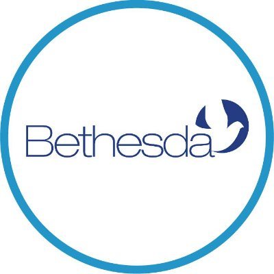 Bethesda Profile