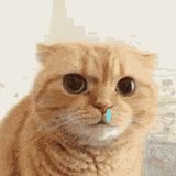 Unoven8's profile picture. 無