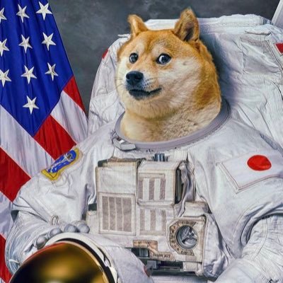 dogecoin connoisseur / #dogetomars