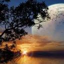 Henry Stone - @HenryStone4 - Twitter