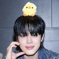 •᷄ʚ•᷅🪞RO🐥King JIMIN🪞•᷄ɞ•᷅ (@mimimimido13) 's Twitter Profile