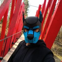 LichPup (@lichpup) 's Twitter Profile