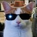 🐱 (@cowboycat141) Twitter profile photo 🐱 (@cowboycat141) Twitter profile photo