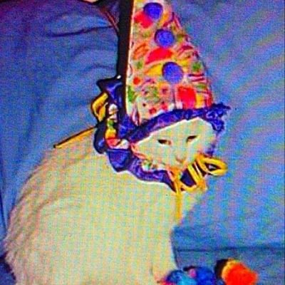 ItzEmberさんのプロフィール画像