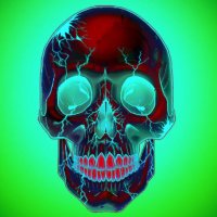 Skull(@Skullavero) 's Twitter Profile Photo