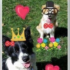 MichelleSa78924's profile picture. Now also @michelle_says_threads  twitteraccount of 12 years (@chellesand)  hacked since 29/03/2023.  Still waiting for Twitter to recover it for me...FFS!!!