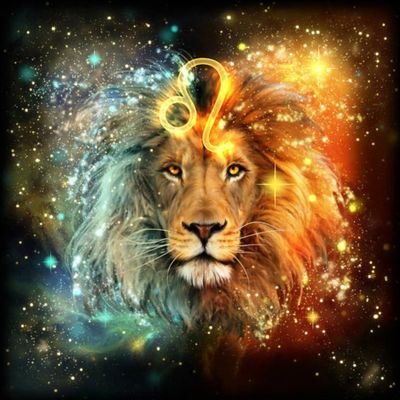 SMDiaz77's profile picture. 