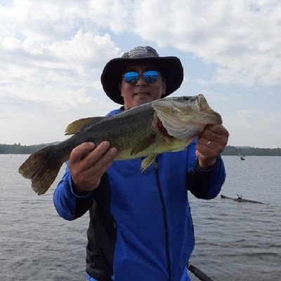 osenbei6dad's profile picture. 