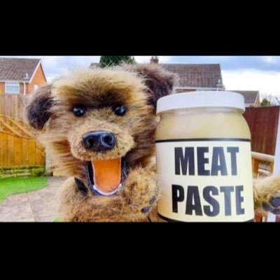 YalrightCockers's profile picture. Goose