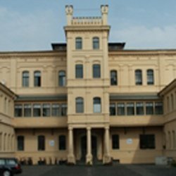 IBHirschfelde's profile picture. 