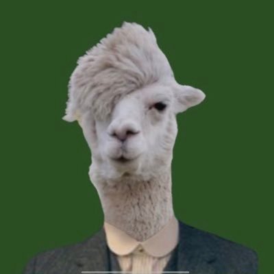 smilinglllama Profile Picture