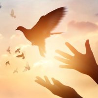 Desert Oasis Healing Center (@azdesertoasis) 's Twitter Profile