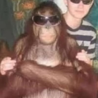 berge_lou's profile picture. Franchement le cinéma c'est sympa