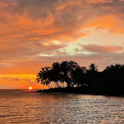 Lucia_9090's profile picture. 