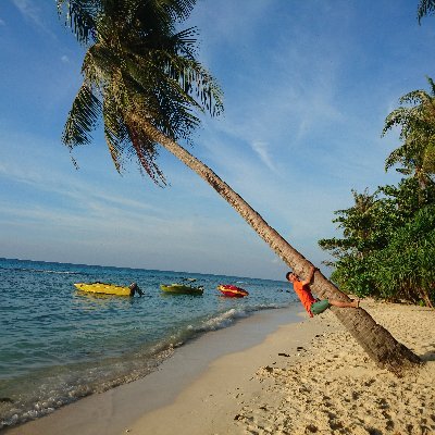 xcpctptrnm's profile picture. PC user only on working day