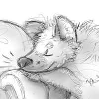 Quoll Marten (@quoll_marten) 's Twitter Profile