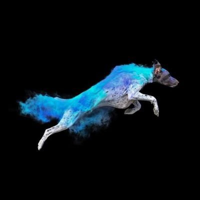 cryptoe31083069's profile picture. #bitcoin ･ ｡ﾟ･ ｡ﾟ･ ｡ﾟ