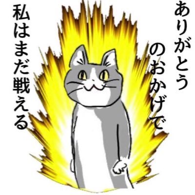 社会人3年目 2023/2〜株開始 (； ･`ω･´) まだ株ファミリー23期生 ダウ理論