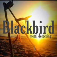 Blackbird metal detecting(@BlackbirdMetalD) 's Twitter Profile Photo