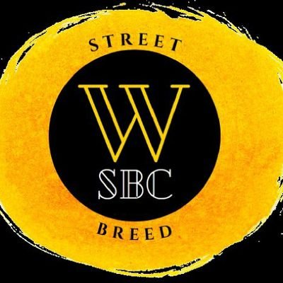 Follow to Keep up with all the latest News on #StreetBreedCoin and other Crypto Currency. https://t.co/9QJCh5ugct - https://t.co/i5uvIu0VNZ #P2E $SBC