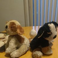 JAWR (pronounced jar) (@jawr008899r) 's Twitter Profile Photo