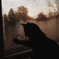 а.| покурим ? (@werklut) 's Twitter Profile