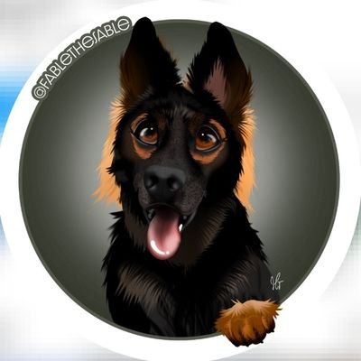 Welcome to the #Germanshepherd Lovers Community!
Follow us for Daily sharing #Germanshepherd happiness!
This page is dedicated for all #German Owners & Lovers!!