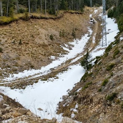 Fina_Ferrer_'s profile picture. 