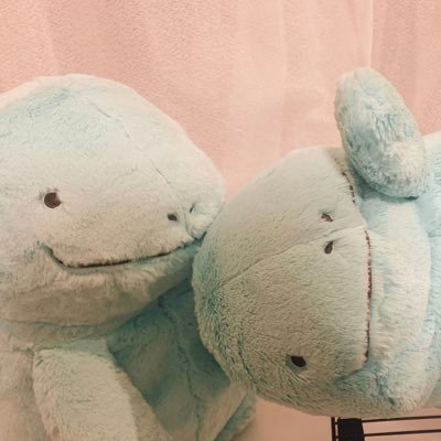 我が家のふわぬおちゃん達の日常☺︎ みなさんの可愛いぬおちゃんを見て癒されてます☺︎ 無言フォロー失礼します。フォロー大歓迎です☺︎ #ヌオー #Pokémon #推し活