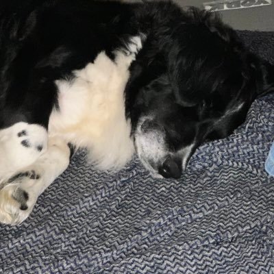 HanMeisterR6's profile picture. allak bullak kafami bulandirmayi birakamayan bir insanim