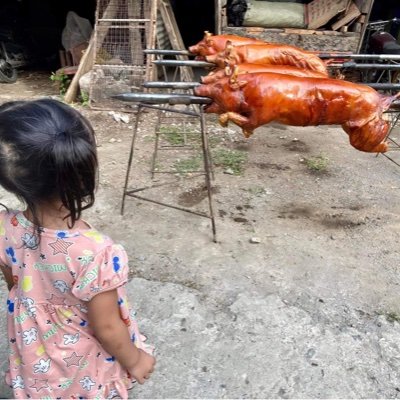 Loreck's profile picture. 