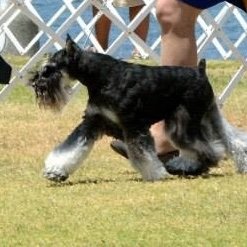 Stephanie245167's profile picture. 