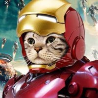 Iron Kat(@IronKat3) 's Twitter Profile Photo