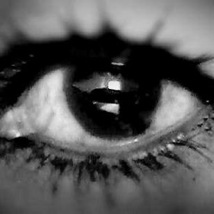 daizaneves's profile picture. Vovó Petralha.
Fotógrafa de gato e de flor. 
Às vezes de gente 😻