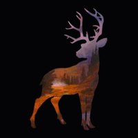 Connor (@condoor_man) 's Twitter Profile
