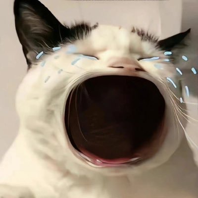 mummynongchenle's profile picture. 