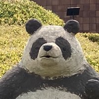 ごまっこ (@gomakko81602) 's Twitter Profile