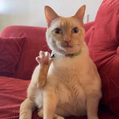 Tayjayy1's profile picture. 