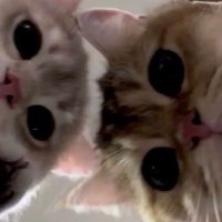 Nne (@nnm17551421) 's Twitter Profile