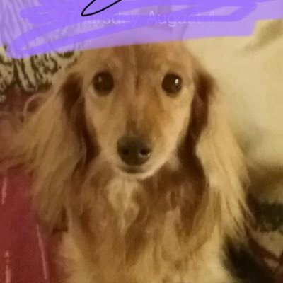 KarenDaly635257's profile image