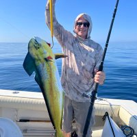 Bluewater Trader (@bw__trader) 's Twitter Profile