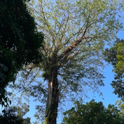 cuttack_s's profile picture. Mk Cuttack a better place