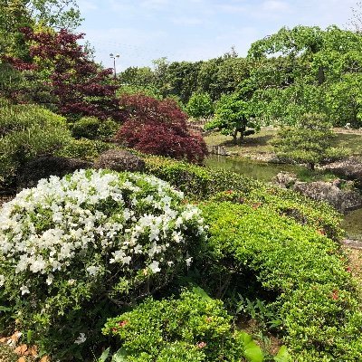 Lefnos_main's profile picture. ゲームを中心に、色々なことをツイートします。なお、サブ垢は全く機能していません。