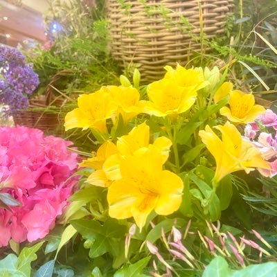 溢れる情報の中でラプトブログに出会い、これこそ真実だと悟りました。神社仏閣拝むのもやめました。https://t.co/ELNOnUC7Dr https://t.co/BXrO7MWiEx