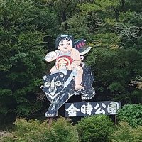 🤡ほんきーとんきー🏍⛺🐉(@2k19Bobo) 's Twitter Profile Photo