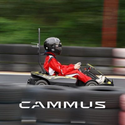My WhatsApp：+86 15837334333
Professional manufacturer of electric karts as well as racing simulators, giving you the perfect track experience.