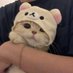 buttercat (@bbuttercatmeow) Twitter profile photo buttercat (@bbuttercatmeow) Twitter profile photo